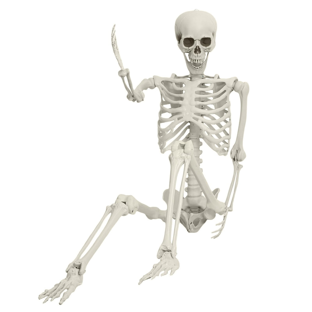 Life Size Poseable Skeleton H762618
