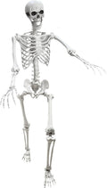 5.4Ft Posable Life Size Human Skeleton Q730285