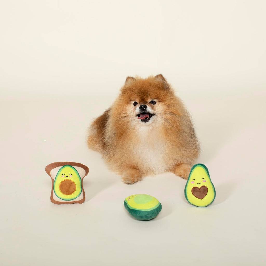 Set of 3 Pet Toy Set N472