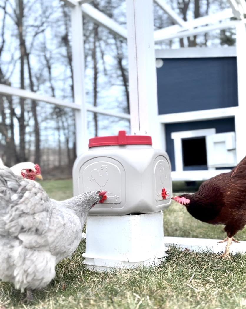 Compact Chicken Waterer with No Spill System, 5 Gallon V907