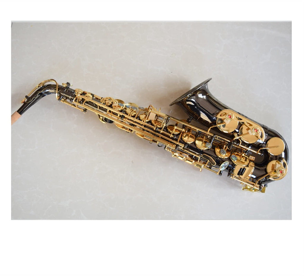Black Nickel E Flat Alto Saxophone Set Y43726