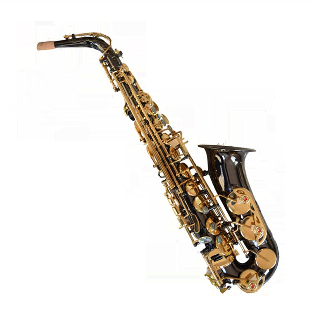 Black Nickel E Flat Alto Saxophone Set Y43726