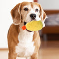 Fried Shrimp Shaped Plush Squeaky Dog & Cat Toy M87162