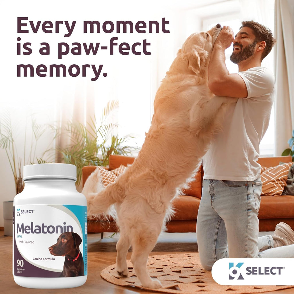 Beef Flavored Multivitamin & Melatonin Tablets for Dogs M832526