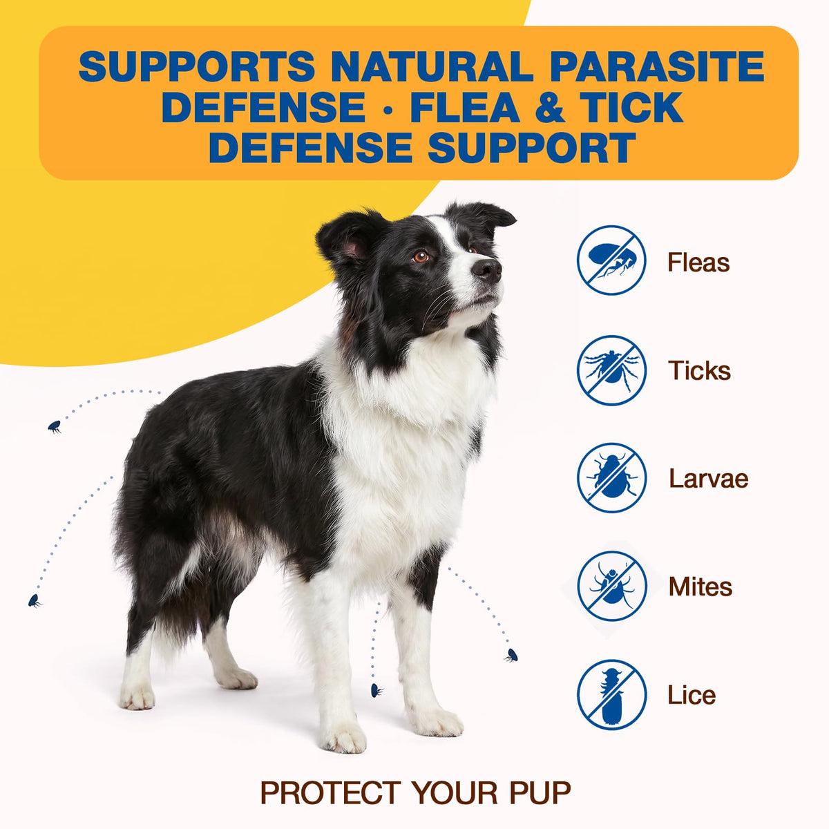 Natural Flea and Tick Chewables for Dogs, 180 Soft Chews O264018