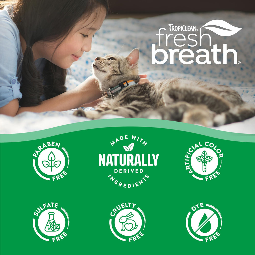 Cat Toothbrush and Toothpaste Kit F8371