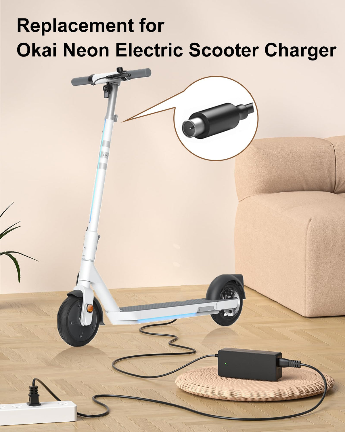 42V Electric Scooter Charger C21684