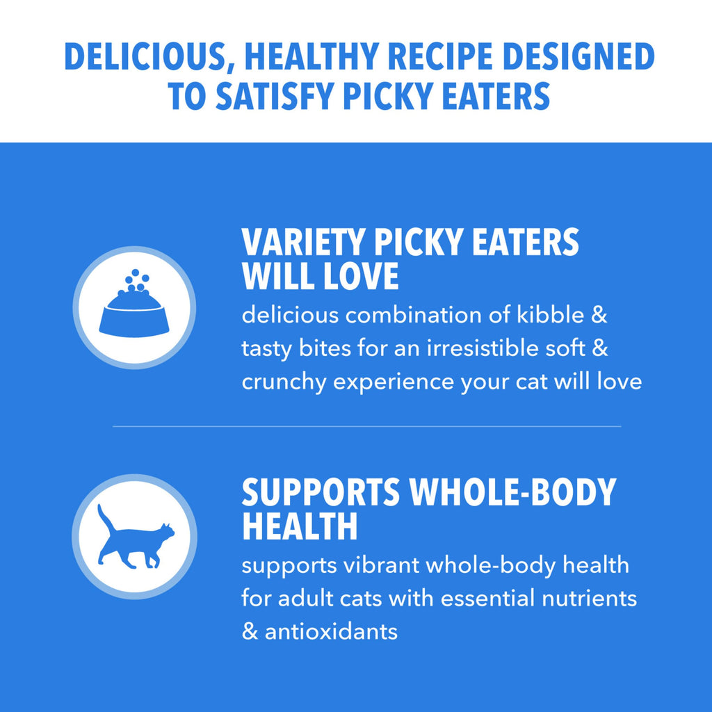 Dry Cat Food Chicken & Salmon Recipe 3 lb H79942
