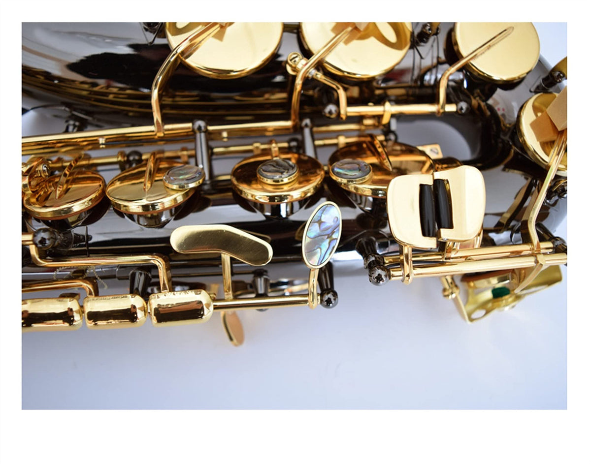Black Nickel E Flat Alto Saxophone Set Y43726