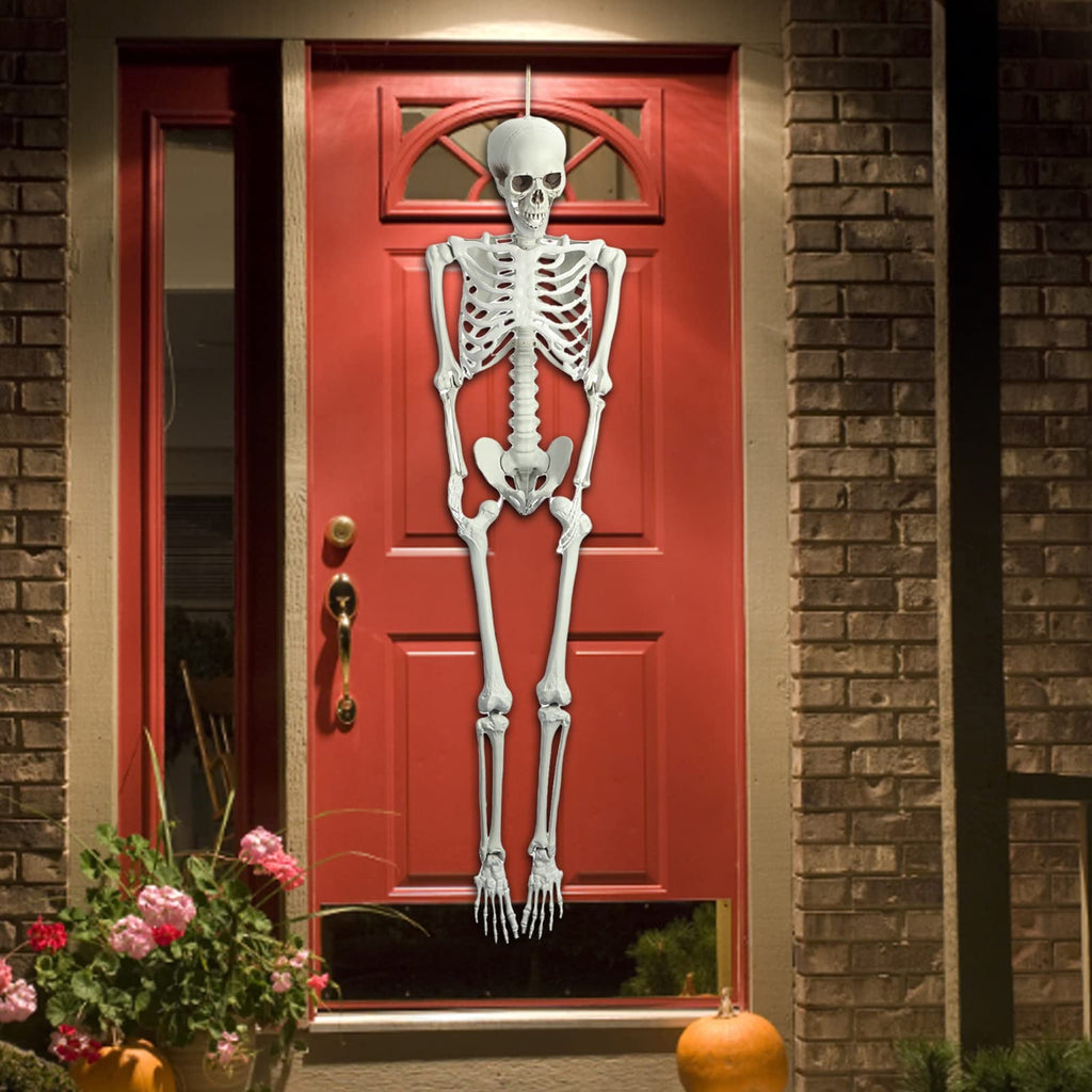 Life Size Poseable Skeleton H762618