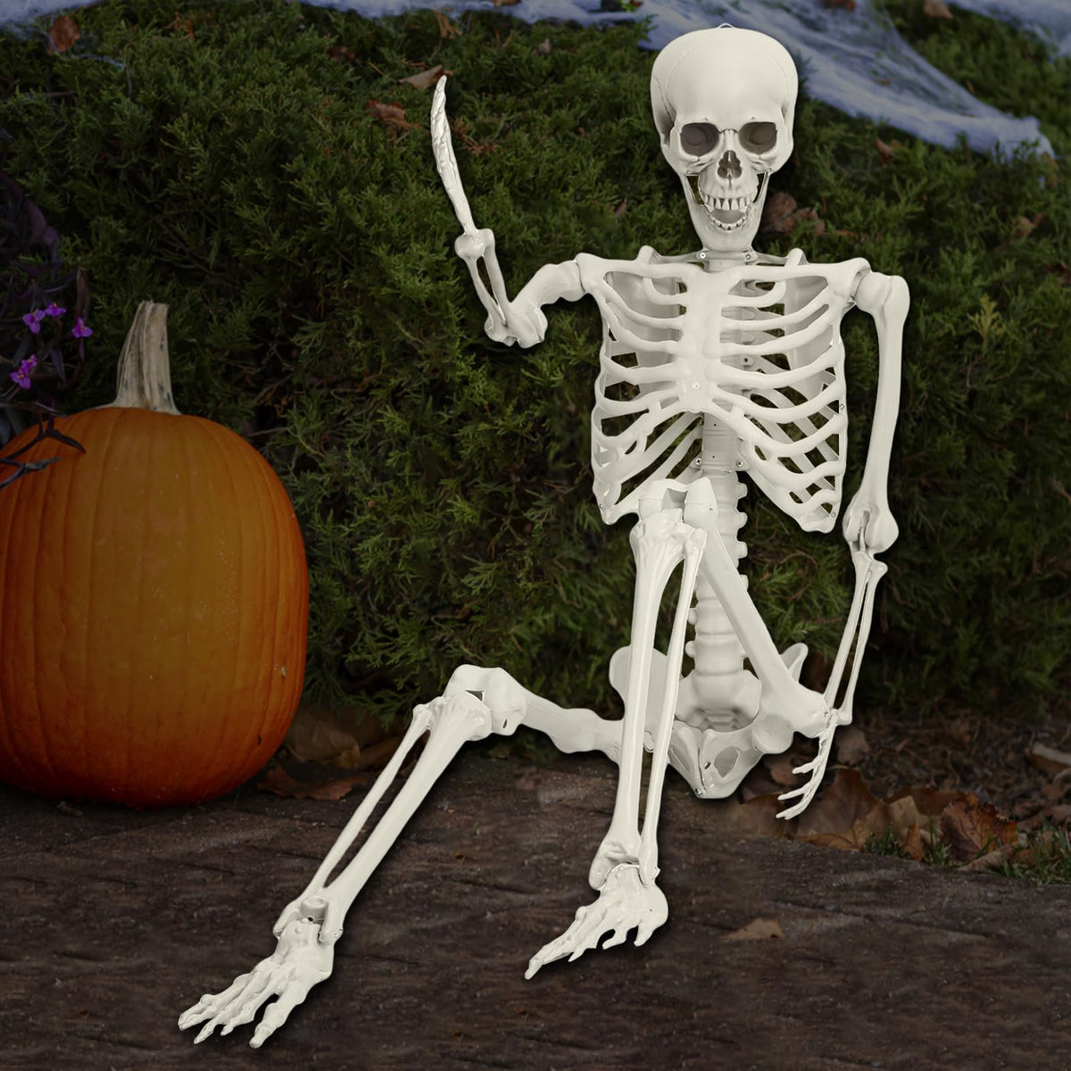 Life Size Poseable Skeleton H762618