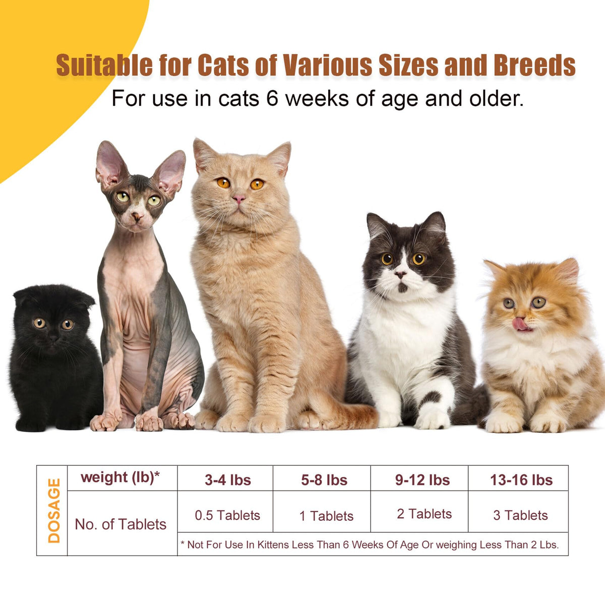Broad Spectrum Cat & Kitten Dewormer P87723