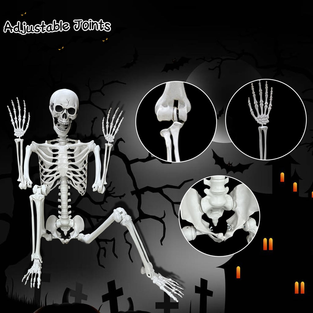 5.4Ft Posable Life Size Human Skeleton Q730285