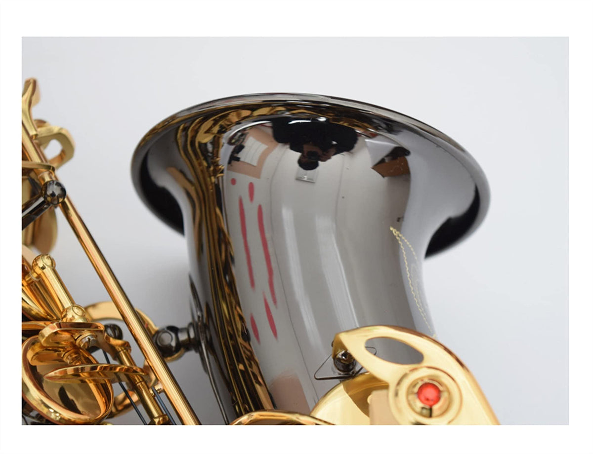 Black Nickel E Flat Alto Saxophone Set Y43726