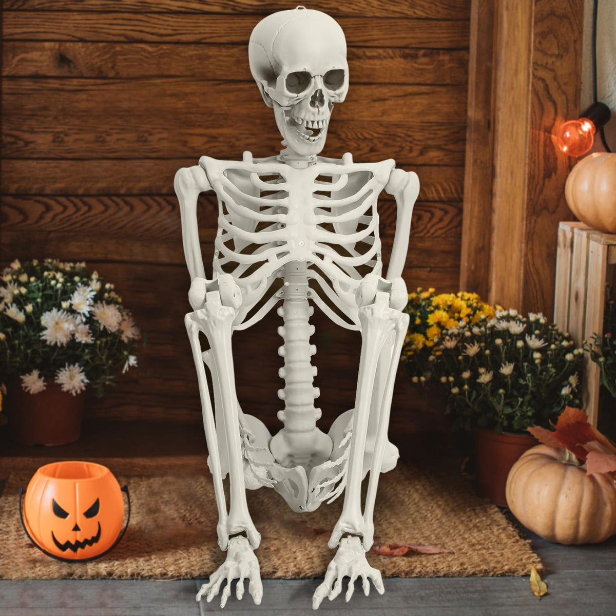 Life Size Poseable Skeleton H762618