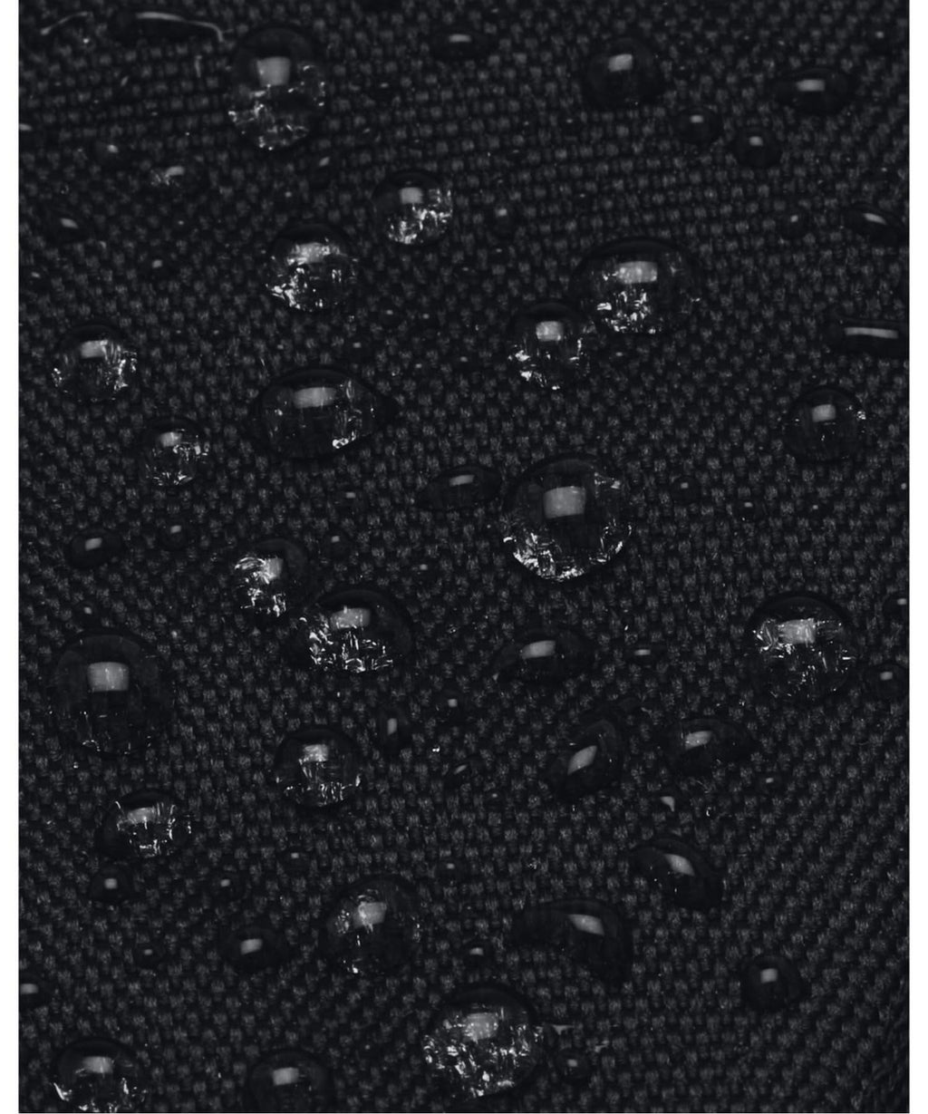 Black Backpack W62099