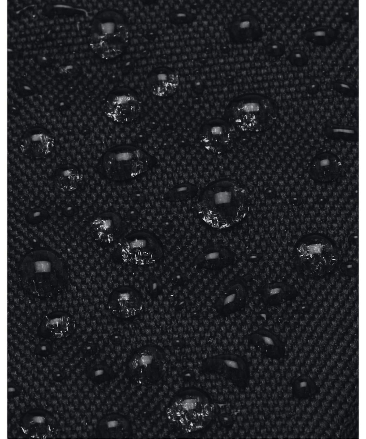 Black Backpack W62099