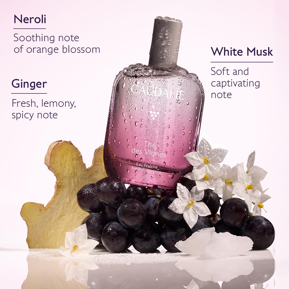 Fresh Fragrance 50 mL E2420