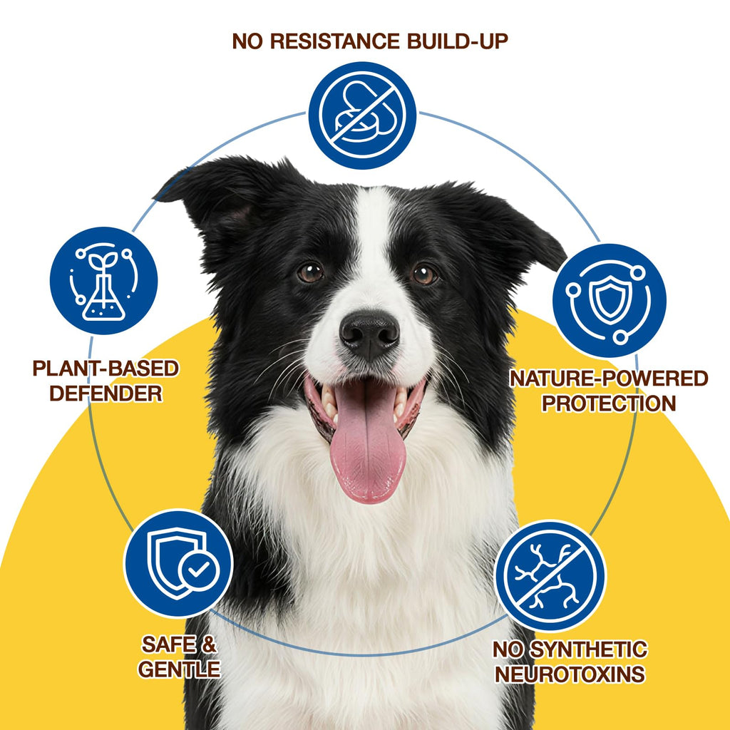 Natural Flea and Tick Chewables for Dogs, 180 Soft Chews O264018