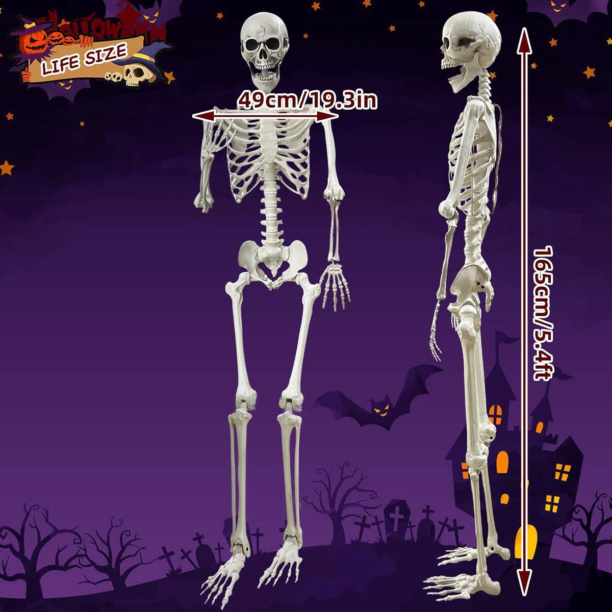 5.4Ft Posable Life Size Human Skeleton Q730285