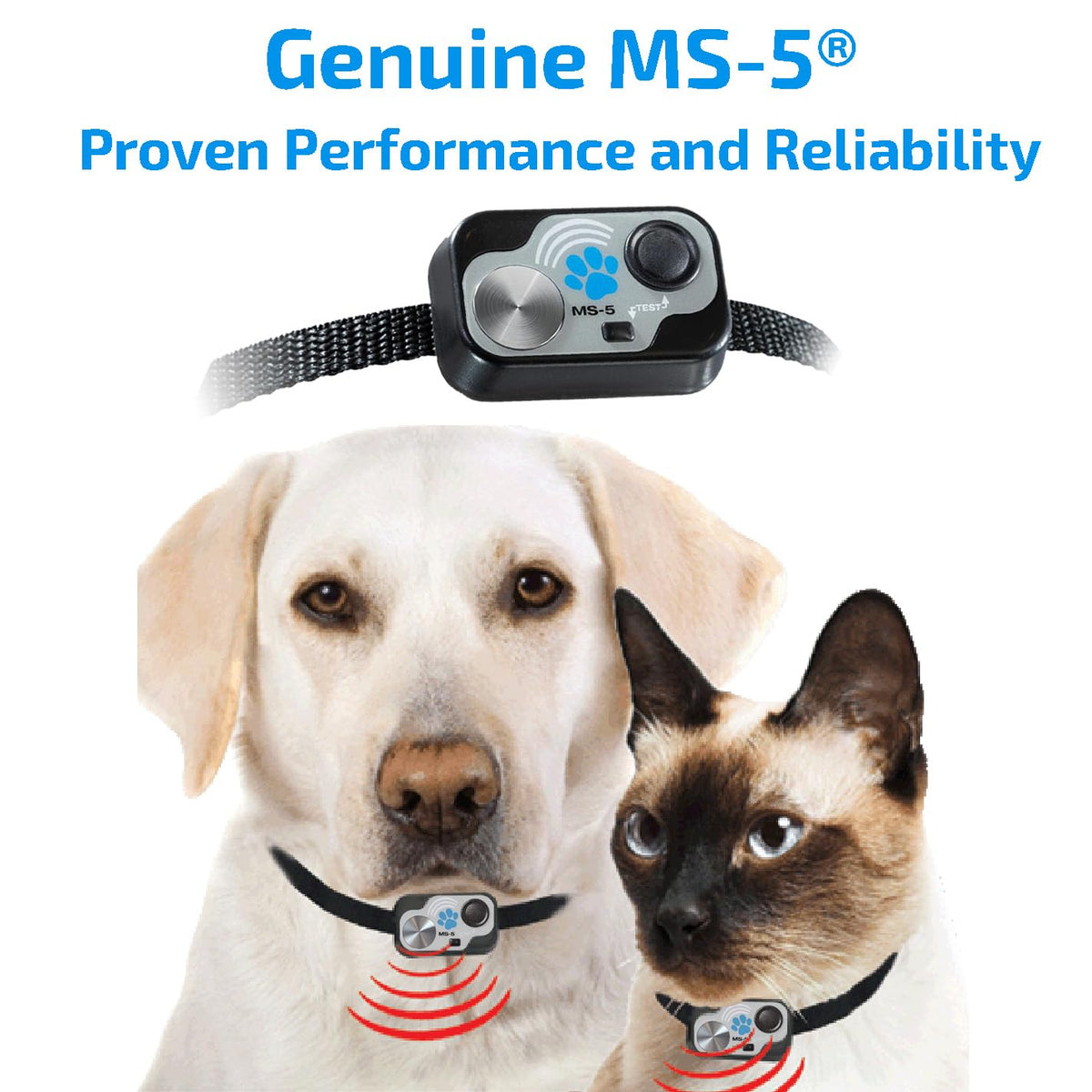 Automatic Smart Pet Door Collar J99789