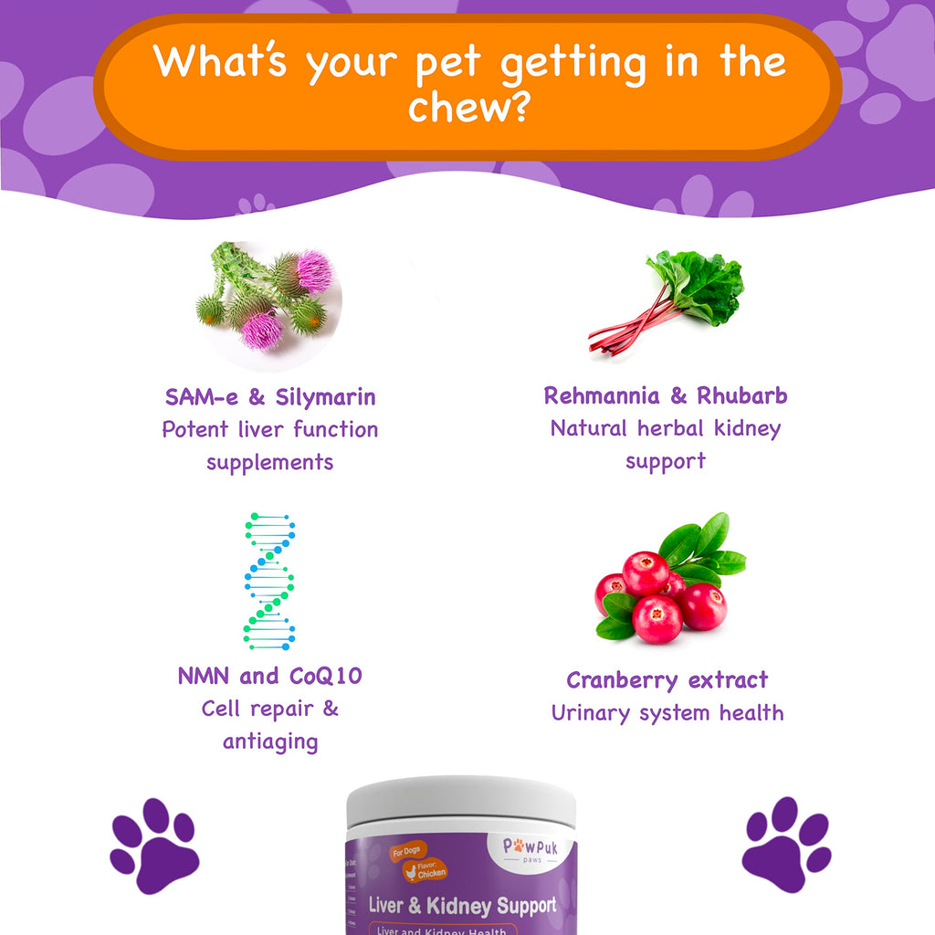 Liver & Kidney Vitamins Supplements for Dogs O396484