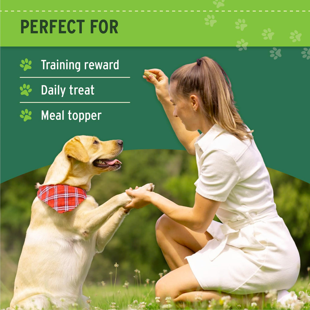 Freeze Dried Beef Liver Dog & Cat Treats H197095