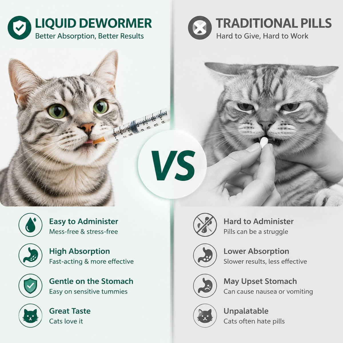 Liquid Dewormer for Tapeworms, Roundworms & Hookworms, 120 mL O9656