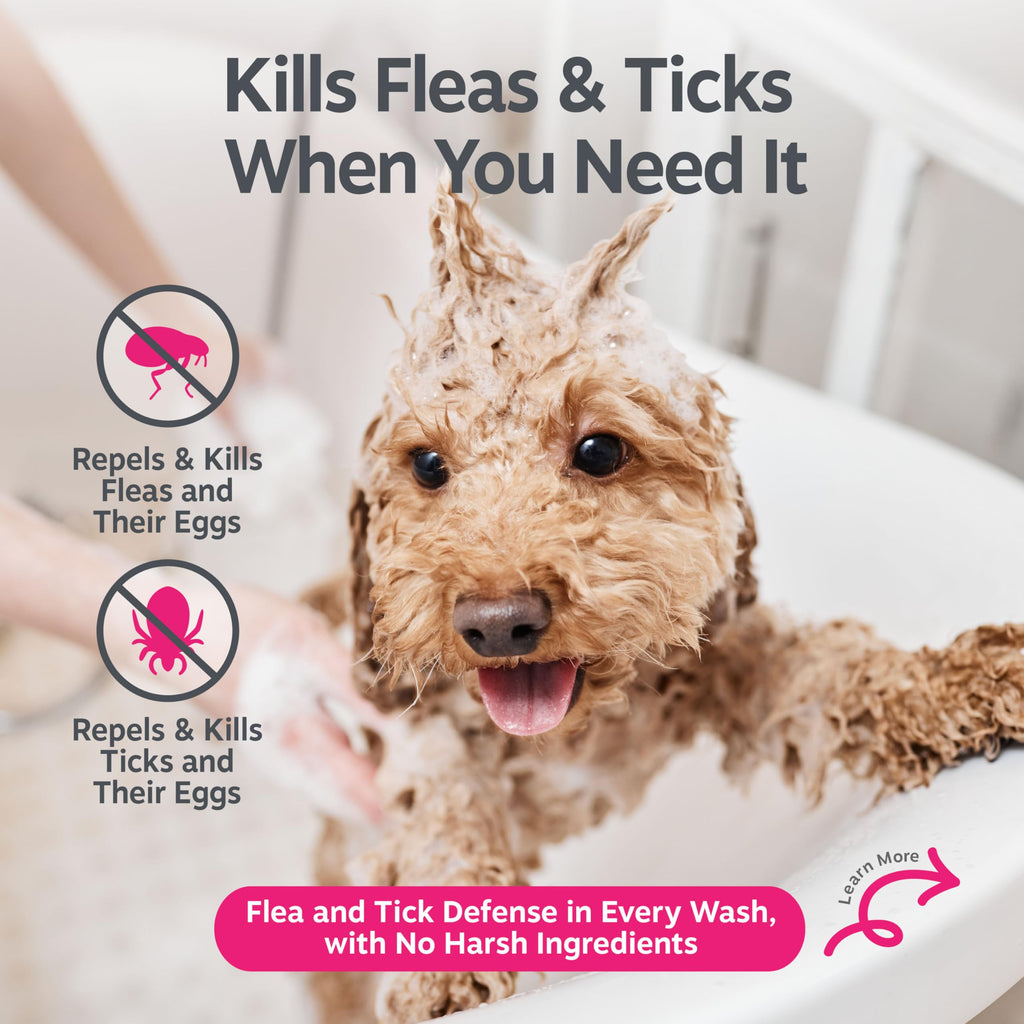 Flea and Tick Shampoo for Dogs 16oz M40255