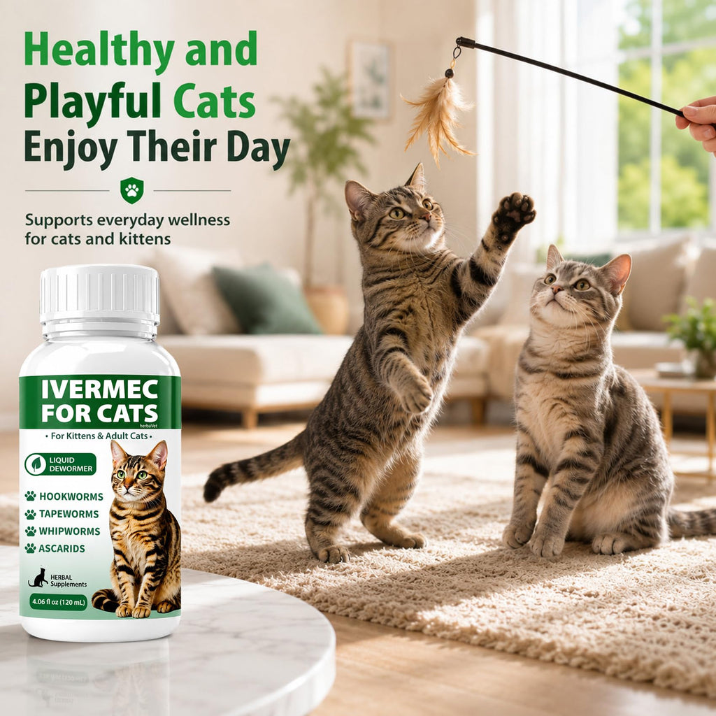 Cat Dewormer Liquid for Cats & Kittens I14892