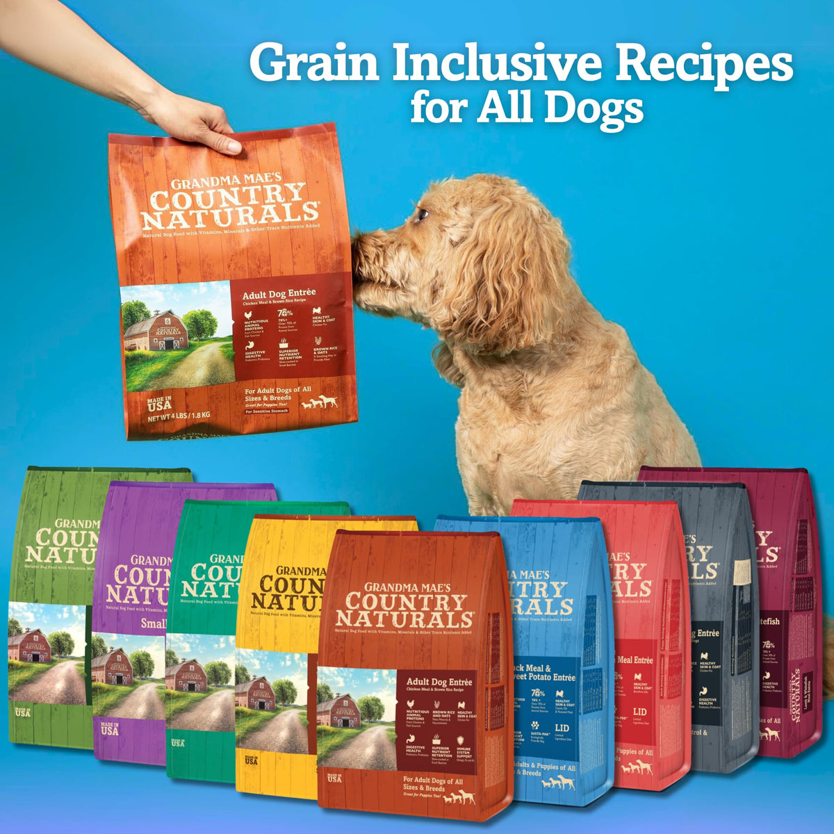 Chicken & Brown Rice Dry Dog Food 14 LB Bag M53229