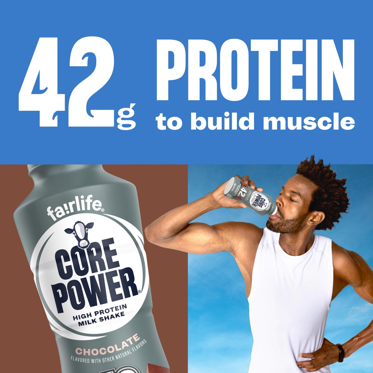 Chocolate High Protein Shake 42g 14oz 12 Pack U248595