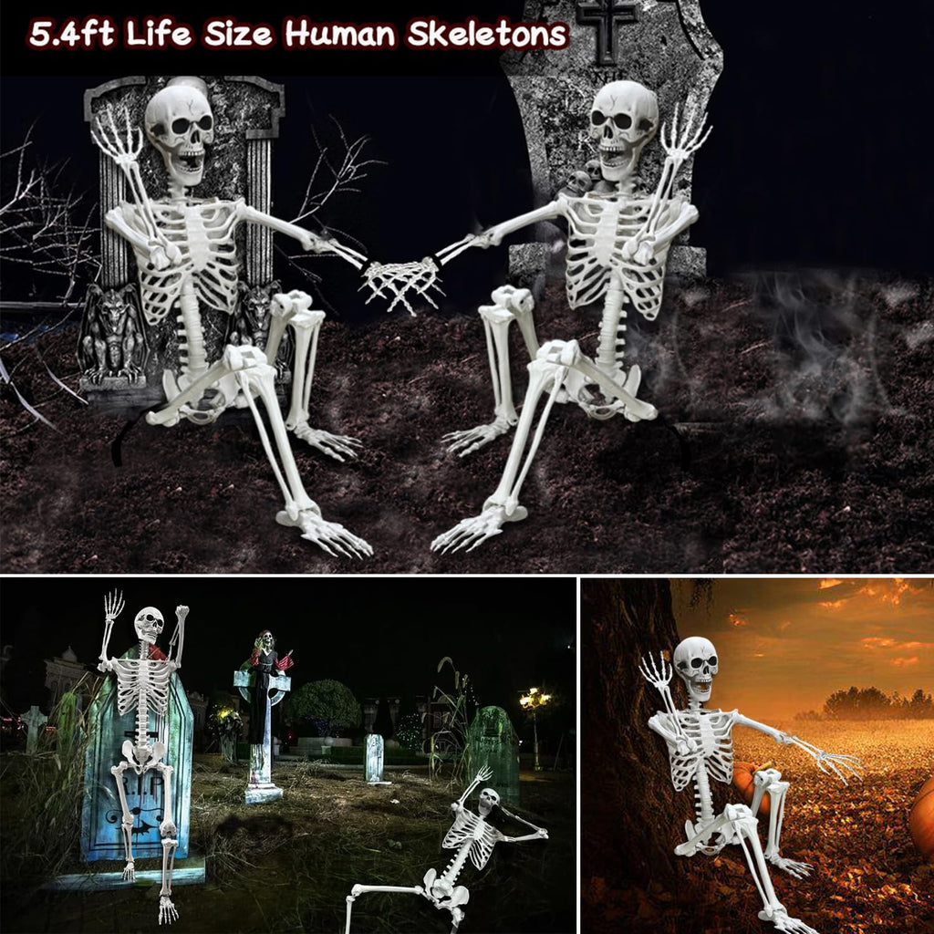 5.4Ft Posable Life Size Human Skeleton Q730285