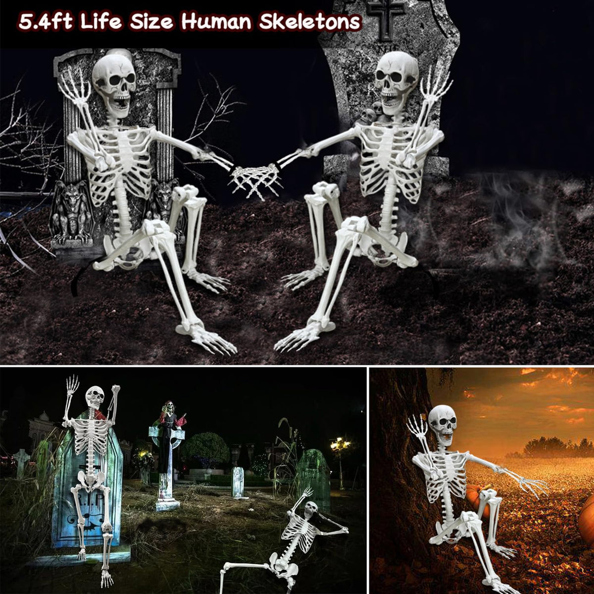 5.4Ft Posable Life Size Human Skeleton Q730285