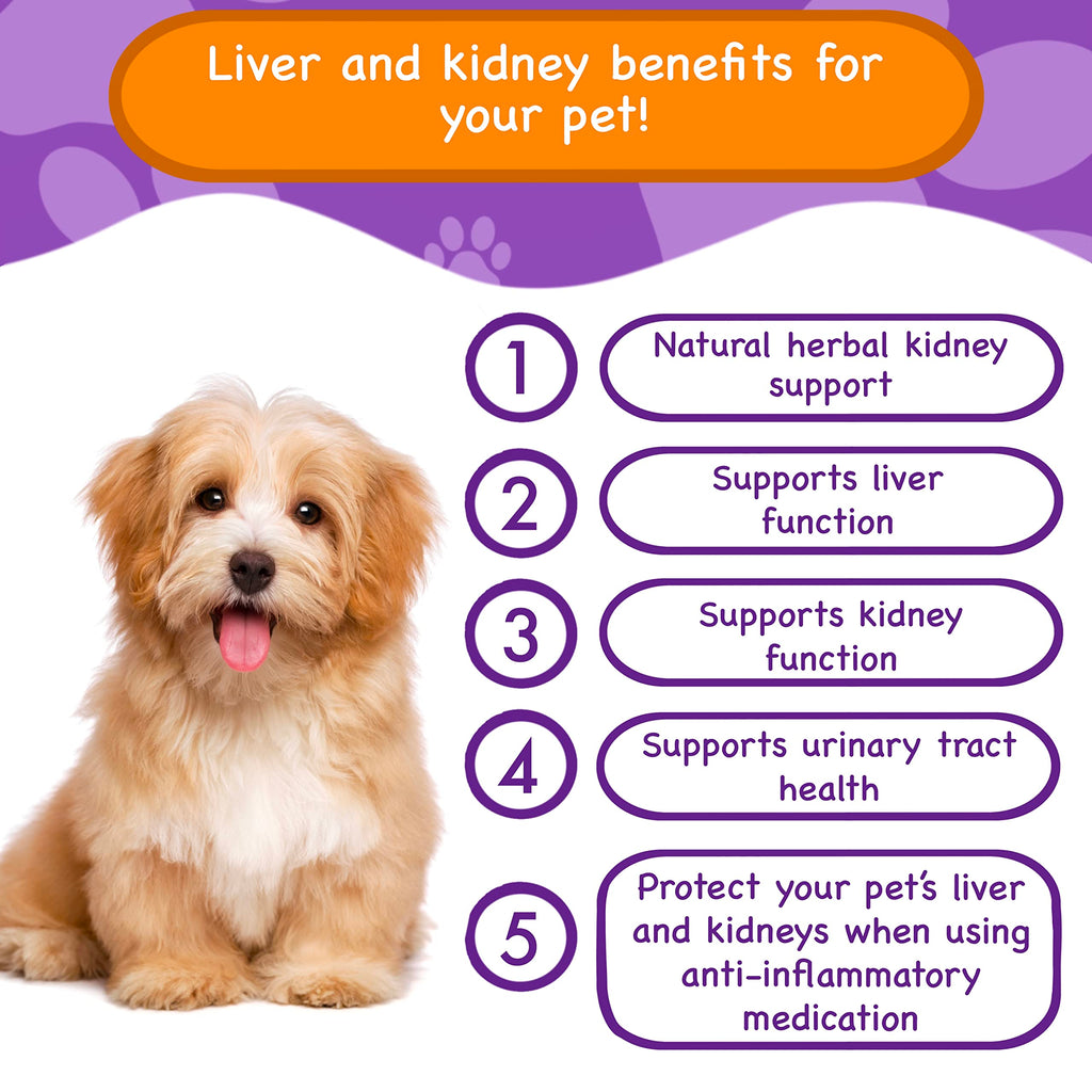 Liver & Kidney Vitamins Supplements for Dogs O396484