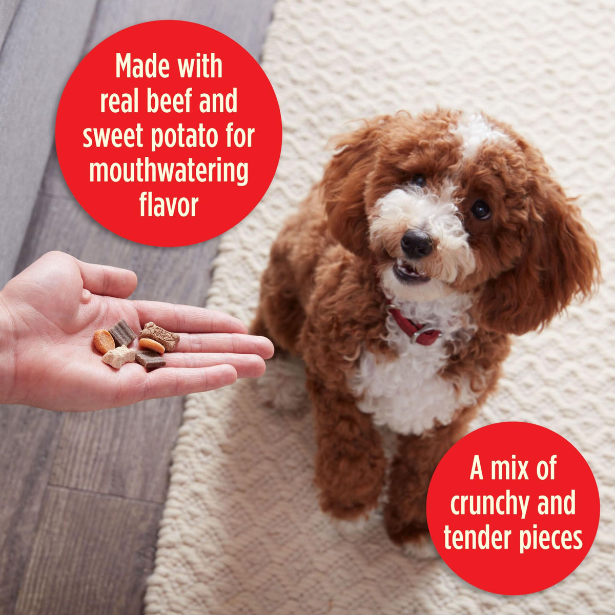 Crunchy & Chewy Dog Treats 20 Oz. Bag X3367