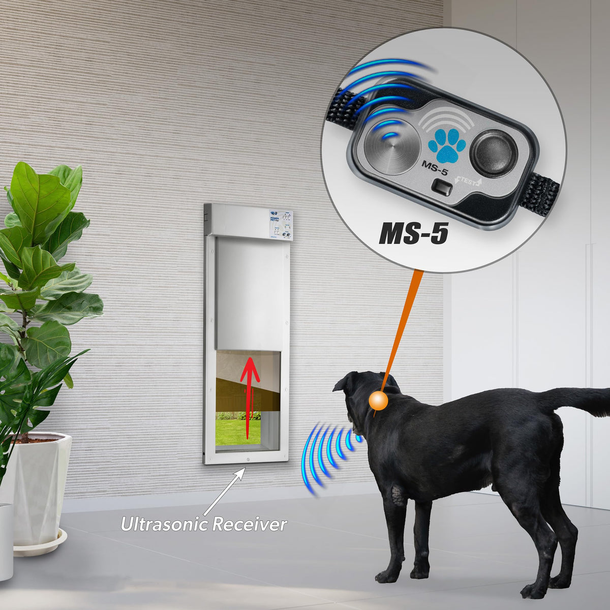Automatic Smart Pet Door Collar J99789