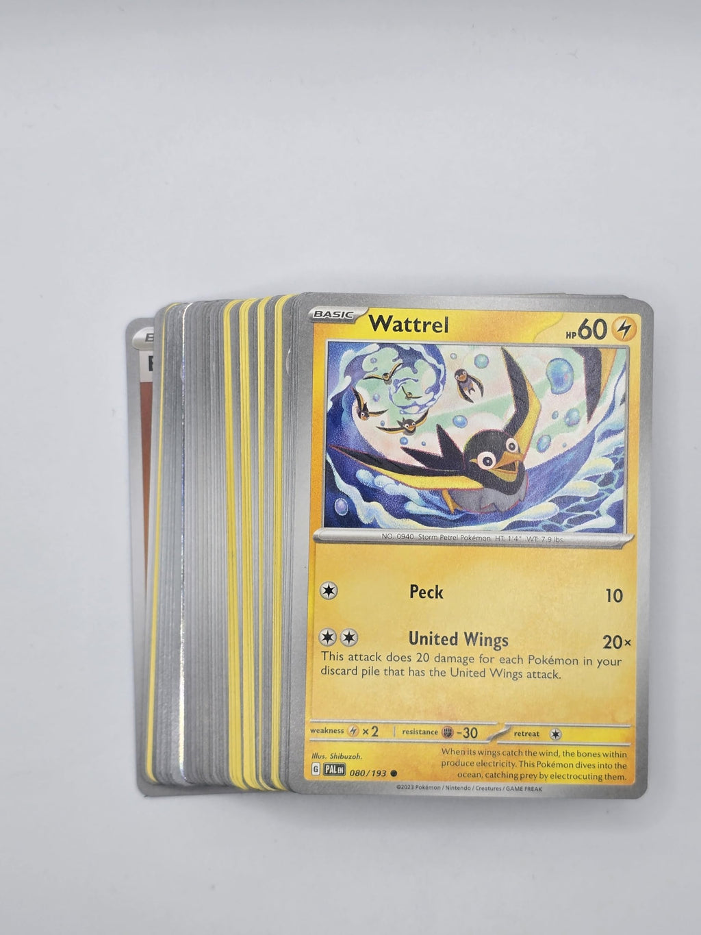 Pokemon TCG Random Cards 50 Cards U540