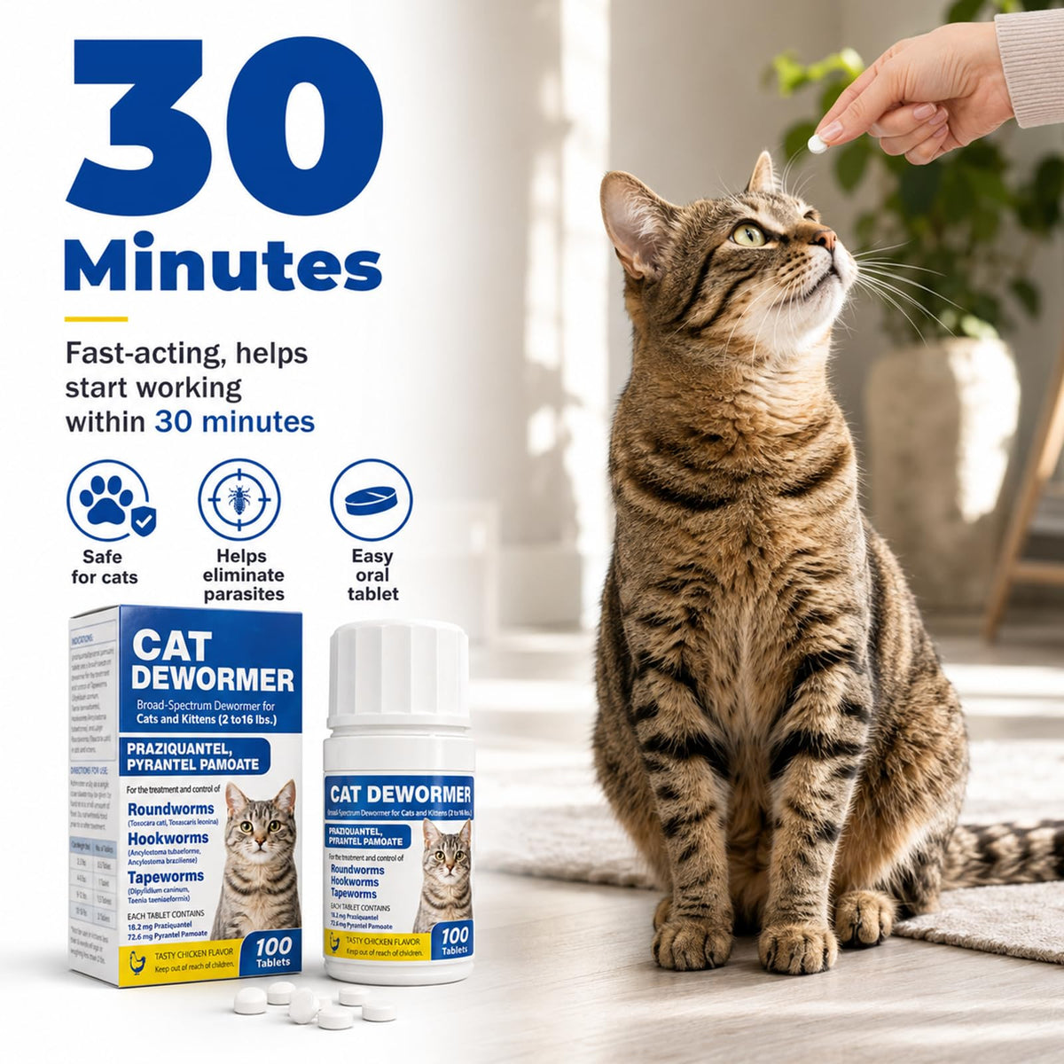 Cat and Kitten Dewormer 100 Tablets Y2511
