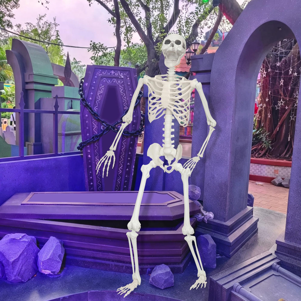 5.4Ft Posable Life Size Human Skeleton Q730285