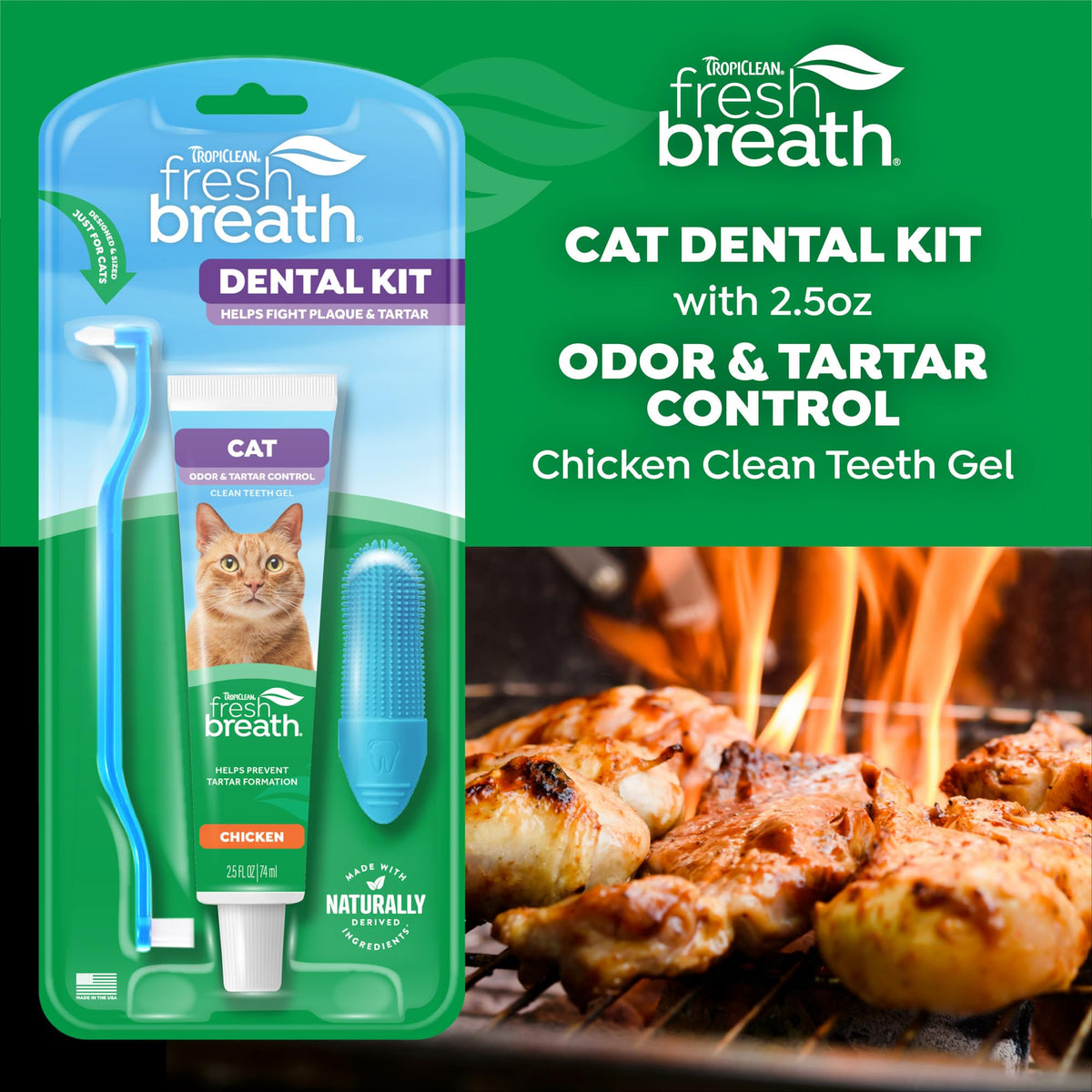 Cat Toothbrush and Toothpaste Kit F8371