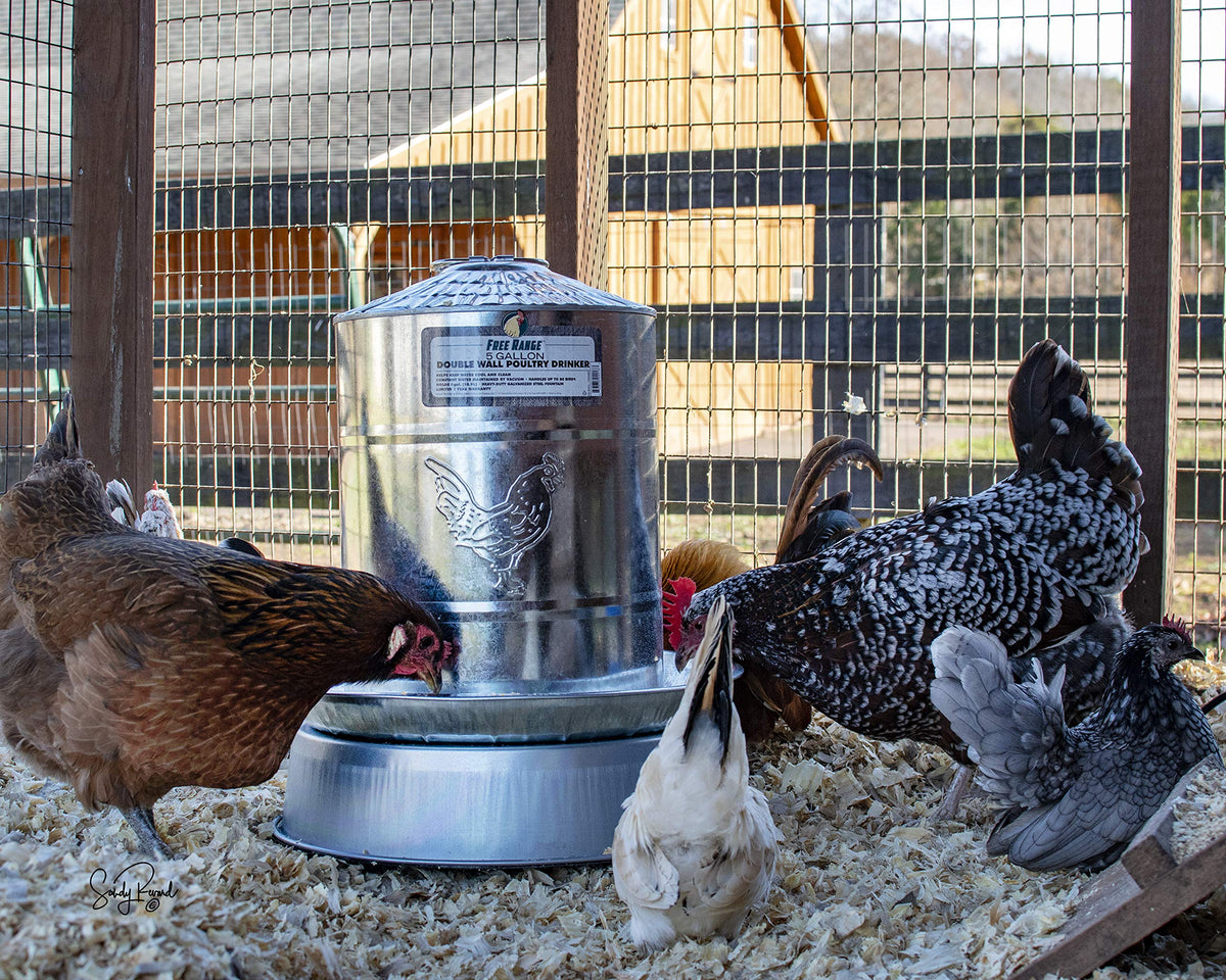 Heated Poultry Drinker Base A398362